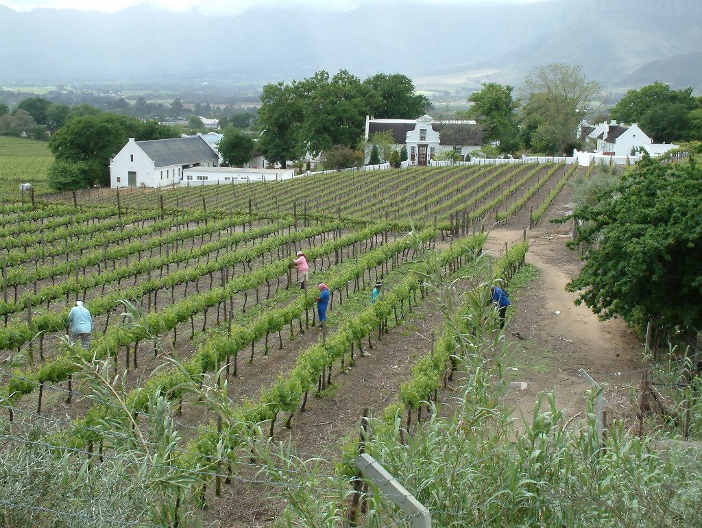 02-Laborie Wine Estate.jpg - Laborie Wine Estate